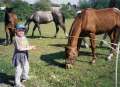 Bild 22