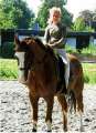 Bild 46