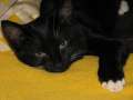 Bild 25