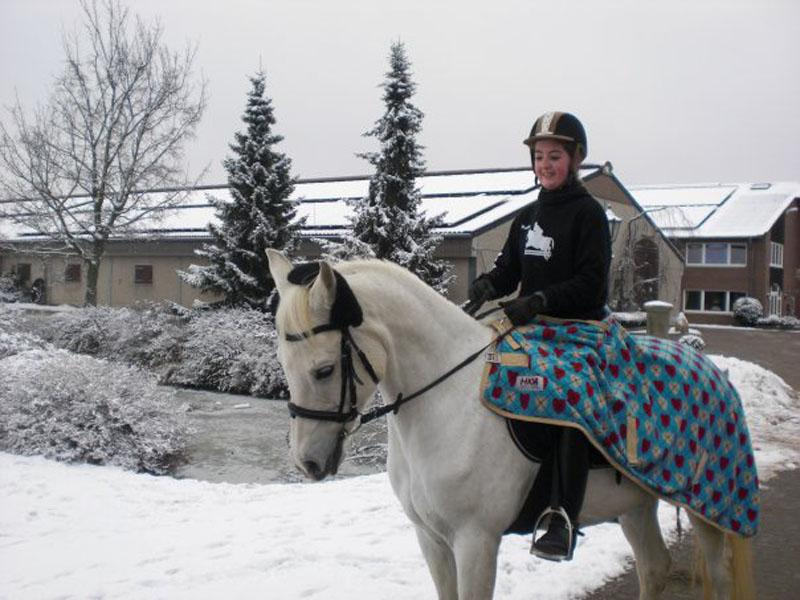 Bild 3_24