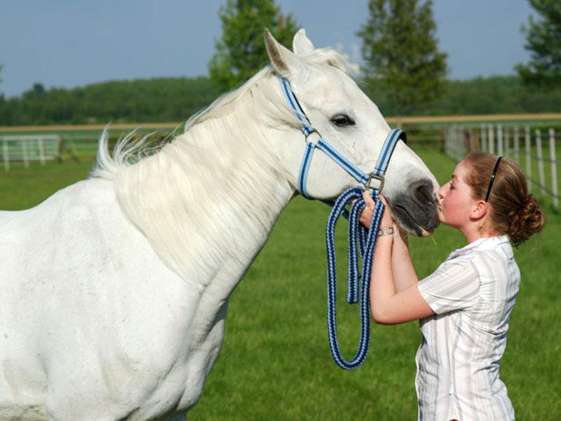 Bild 3_38