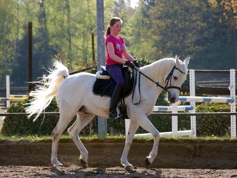 Bild 4_03