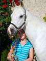 Bild 4_07
